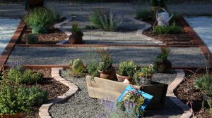 Xeriscaping